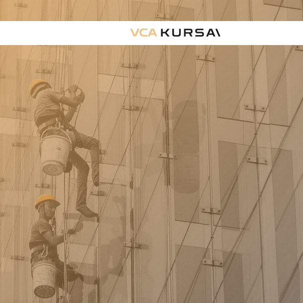 VCA kursai